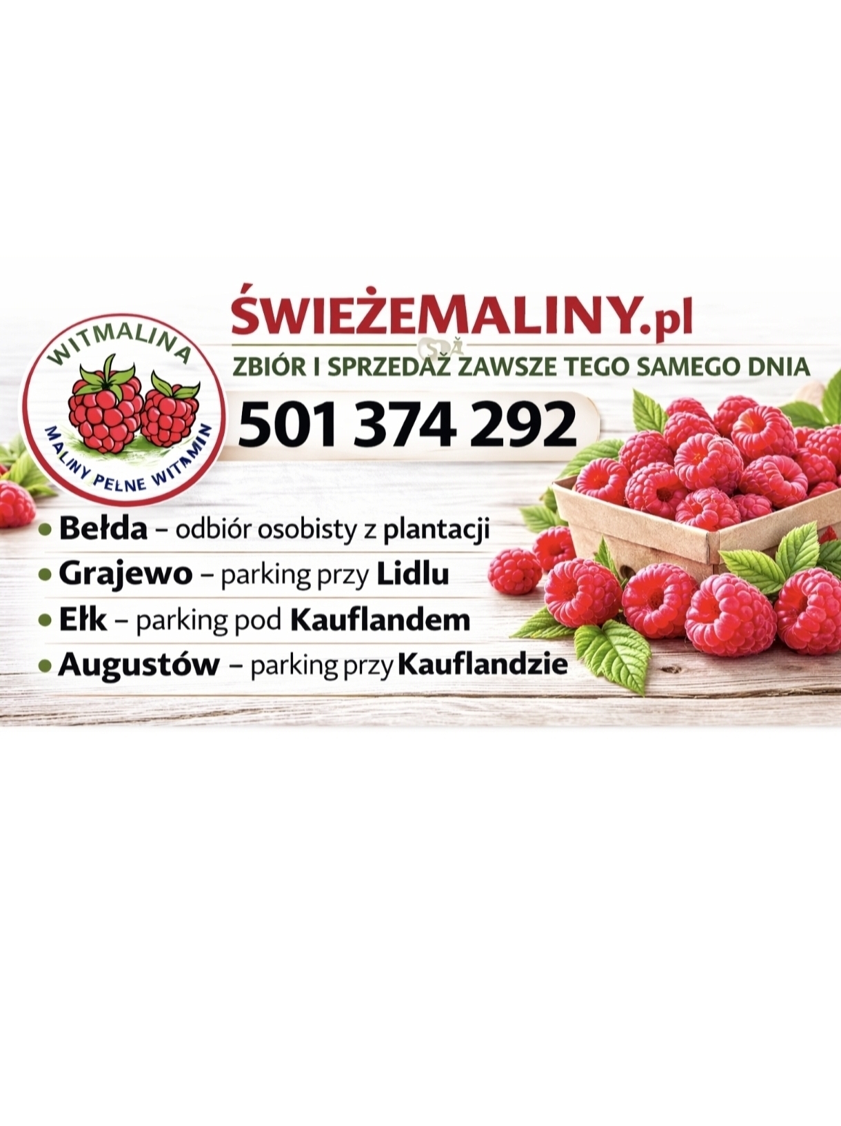 Świeże maliny – Ełk