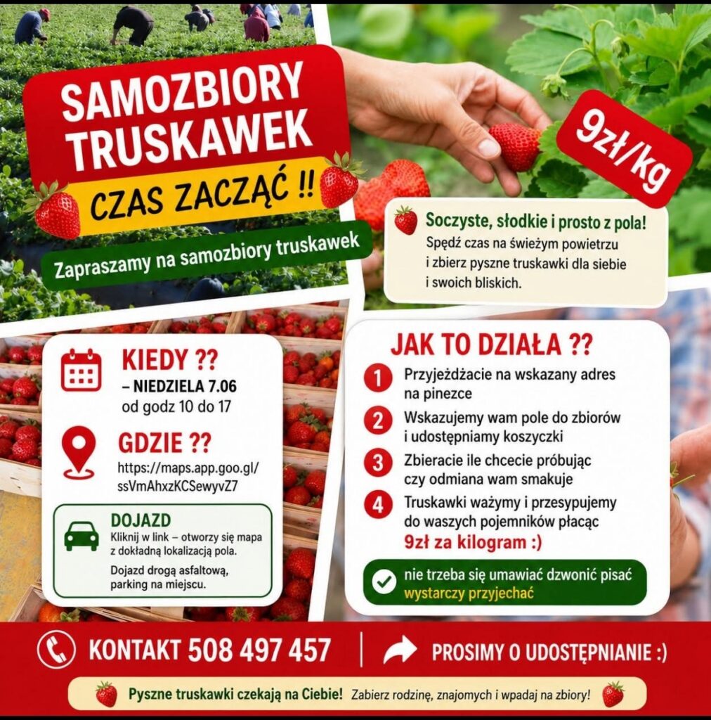 Truskawki z Miedzianej