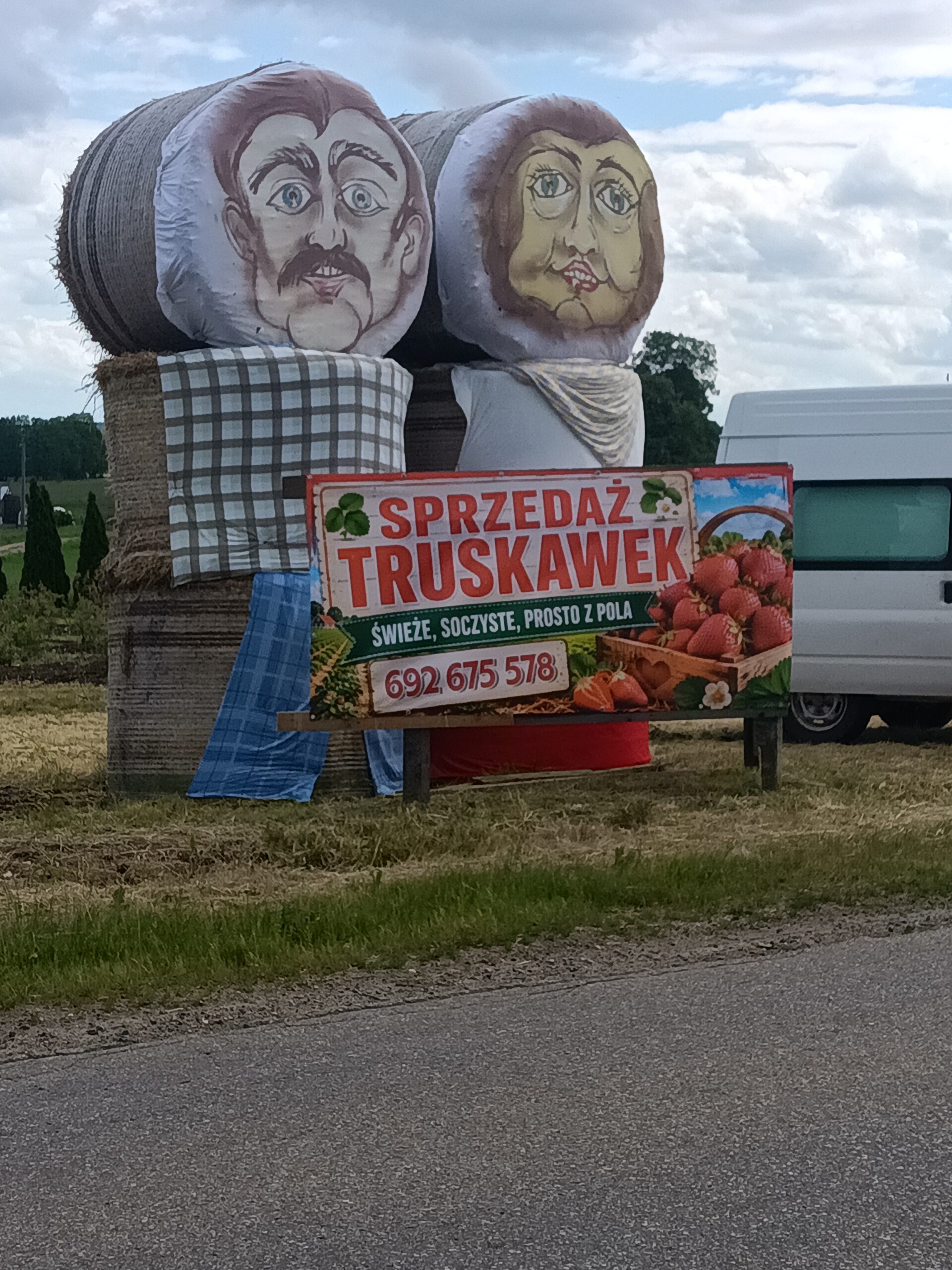 Samozbiory Truskawka Maliny Borówki
