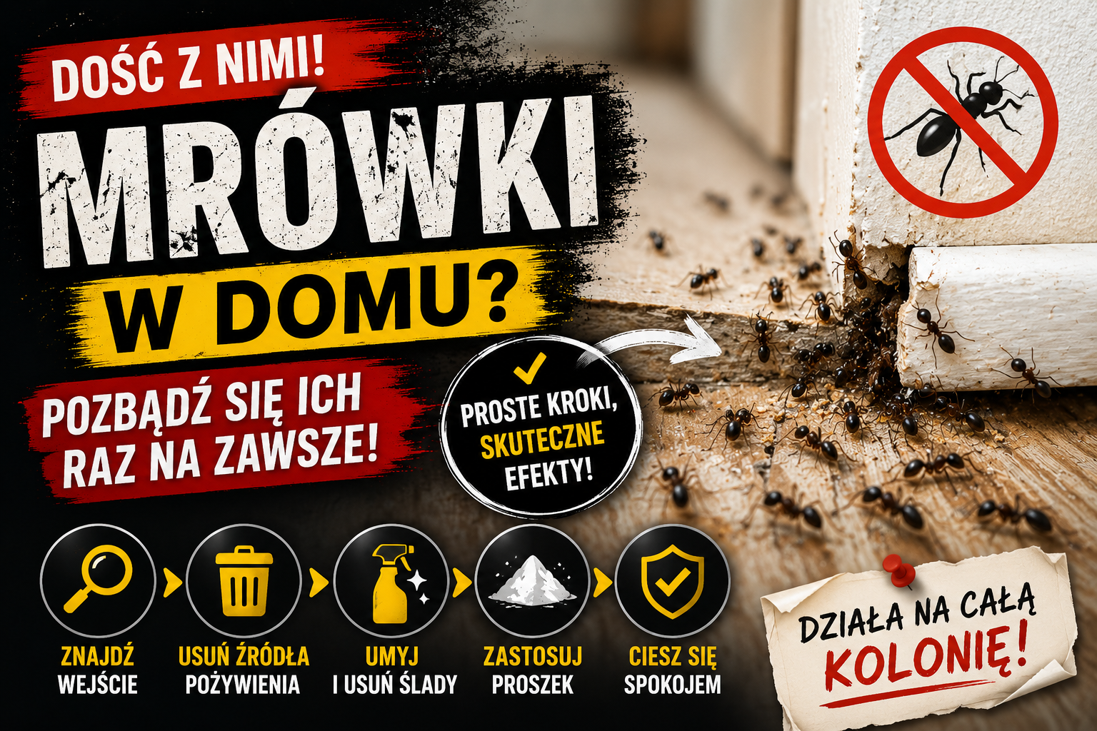 Jak skutecznie pozbyć się mrówek z domu – mój sposób